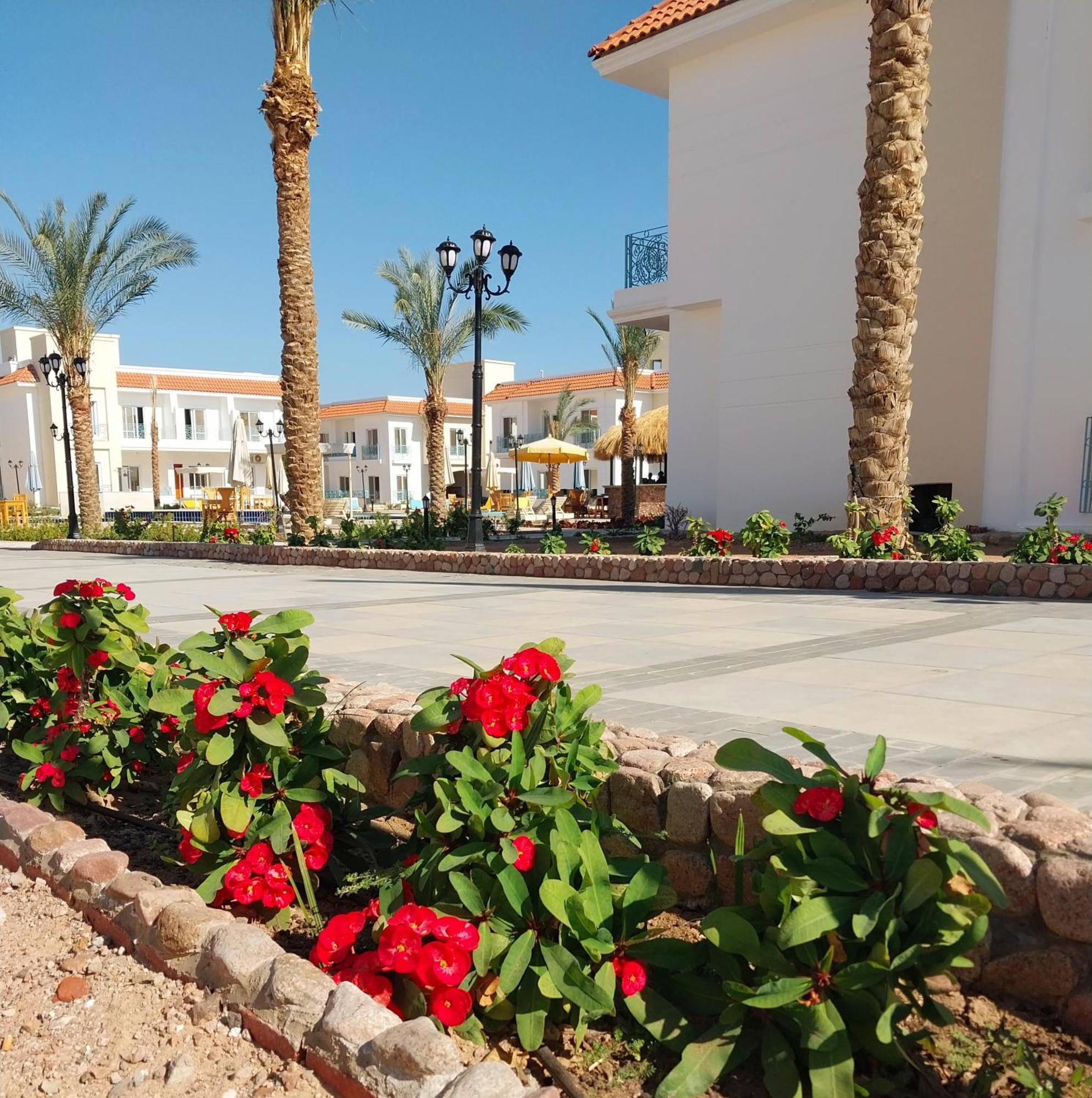 Appartement Blue Dahab